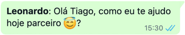 Ballon WhatsApp Business