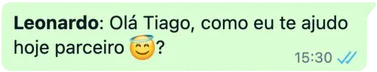 Ballon WhatsApp Business